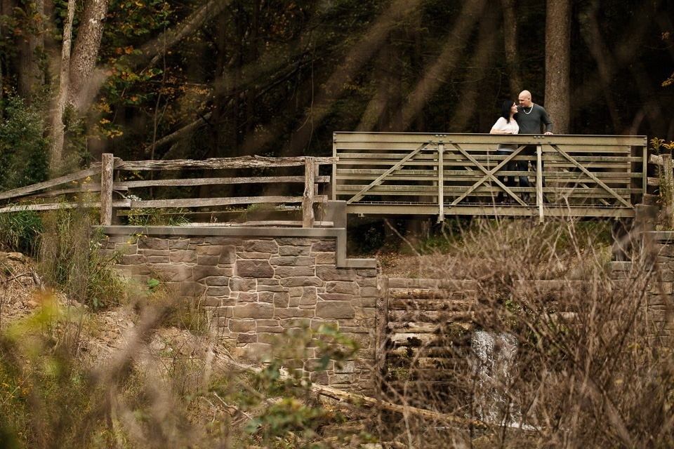 Little Buffalo State Park Engagment Photographers