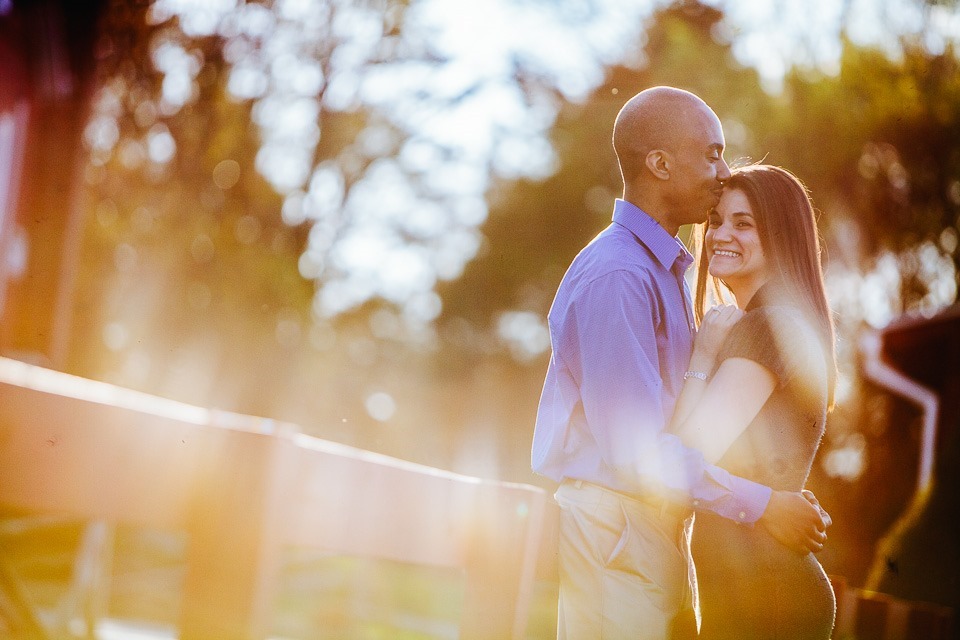 Lower Allen Park Engagment Photography