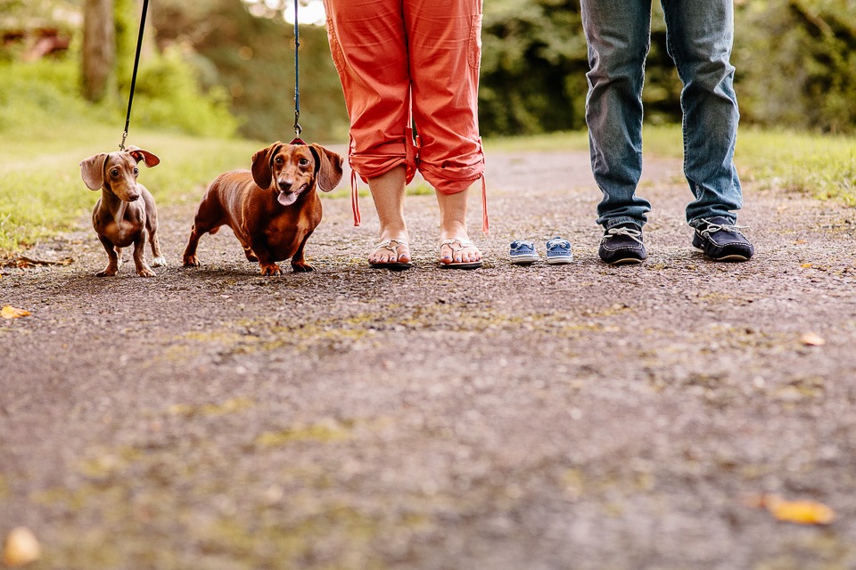 Maternity Family Photography with dogs